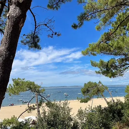 Grande Maison Avec Patio Proche Et Centre Holiday home Arcachon