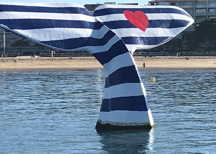 Grande Maison Avec Patio Proche Et Centre Holiday home Arcachon