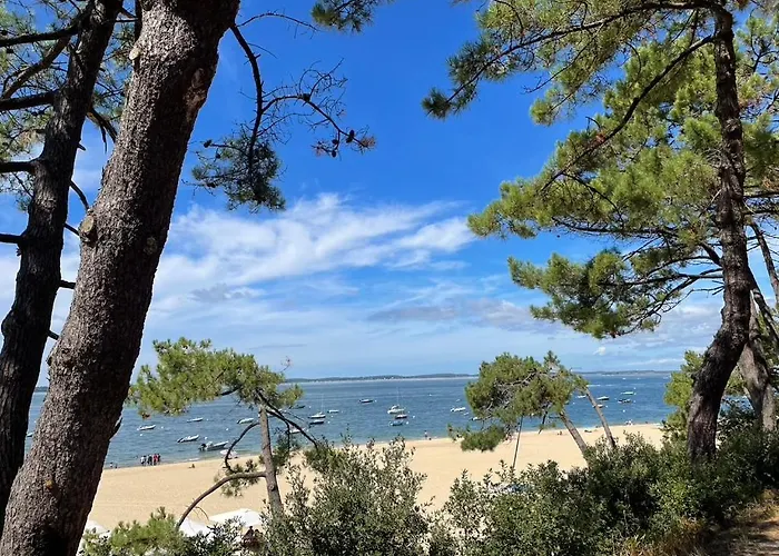 Grande Maison Avec Patio Proche Et Centre Holiday home Arcachon